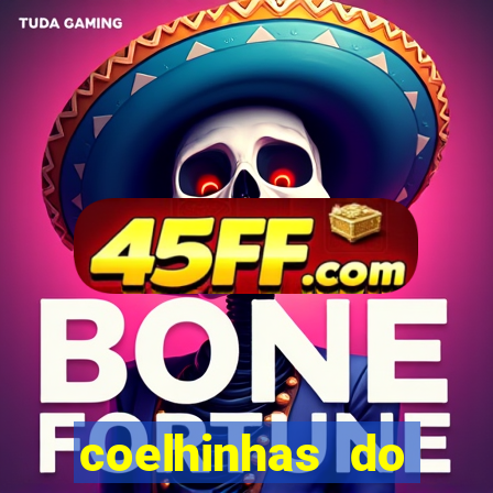 coelhinhas do brasil acompanhantes